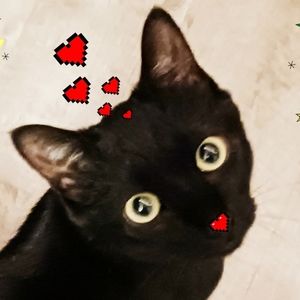 Meet your Posher, Lea